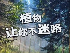 小草回家从此不迷路-神奇小草：回家从此不迷路