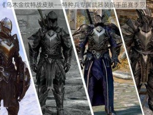 《乌木金纹特战皮肤——特种兵专属武器装备手册赛季限定》