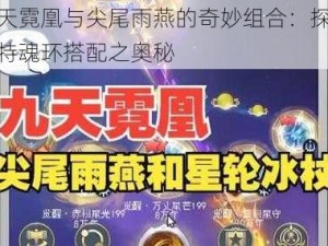 九天霓凰与尖尾雨燕的奇妙组合：探索独特魂环搭配之奥秘