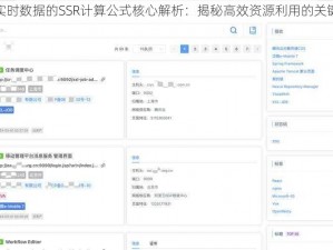 基于实时数据的SSR计算公式核心解析：揭秘高效资源利用的关键指标