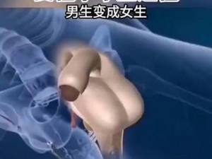 两个女生靠逼的 3D 动画：创新技术打造逼真体验