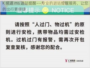 K 频道 ms 进站提醒——专业的进站提醒服务，让您的出行更便捷