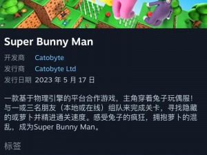 超级兔子人双人同乐攻略：玩转多人模式操作指南