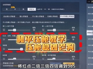 针对《狙击精英5》开镜无瞄准线的解决方法探讨