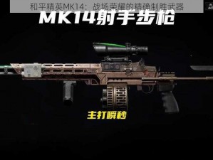 和平精英MK14：战场荣耀的精确制胜武器