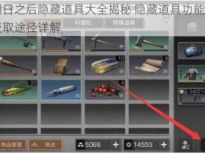 明日之后隐藏道具大全揭秘 隐藏道具功能与获取途径详解
