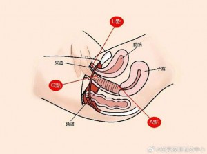 少妇自我安慰全体图片，让你了解女性性健康的秘密