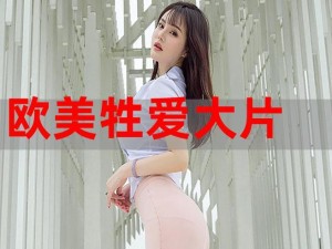 欧美日本免费一级a一片 欧美日本免费一级 a 一片，你能找到吗？