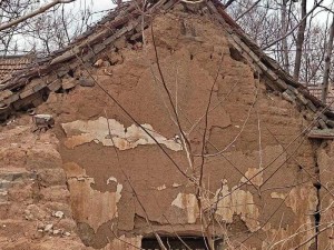 抖音热门歌曲揭秘：铁门前的蓝框银杏与茅草屋的居住情怀