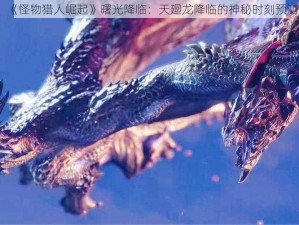 《怪物猎人崛起》曙光降临：天廻龙降临的神秘时刻预测