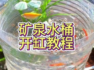 创新无限，掌握魔法染缸DIY实践指南：实用教程教你轻松运用创造力与手工魔法实现染缸自主染色技术