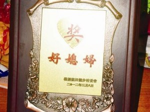 诚实好媳妇三中字,诚实好媳妇三中字：真的好