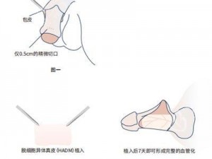 如何让男人的那个变大变长？让我们告诉你一个秘密