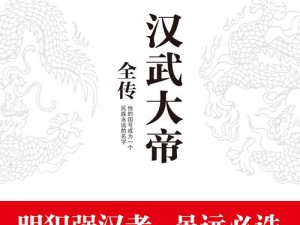 关于汉武大帝传安装及配置的详细说明