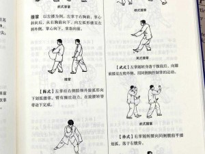 太极熊猫全面解析：四大技能伤害攻击深度探讨与实战解读