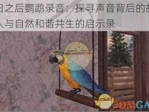 明日之后鹦鹉录音：探寻声音背后的故事，人与自然和谐共生的启示录