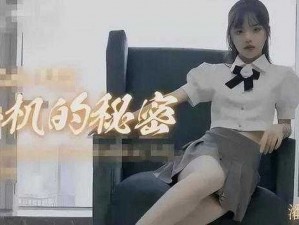 麻豆传剧mv无痕免费观看 麻豆传剧 mv 无痕免费观看，精彩内容不容错过