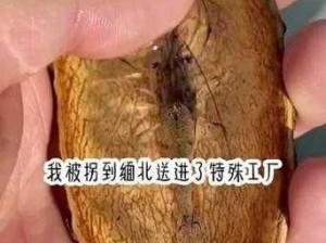 活佛的小肉莲;：活佛的小肉莲是怎么回事？