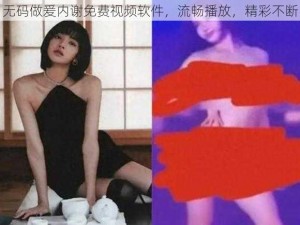 无码做爰内谢免费视频软件，流畅播放，精彩不断