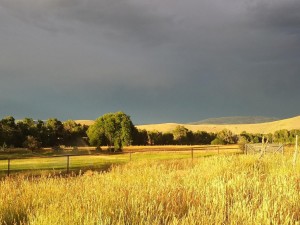 大地资源二3在线观看免费高清、如何在网上免费观看高清的大地资源二 3？