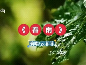 春雨免费直播菁英视频观看;春雨免费直播菁英视频，在线观看