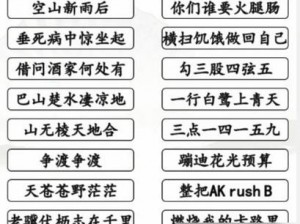 汉字找茬王考试版攻略大全：通关秘籍与技巧分享