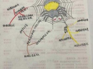 林中小女巫叮当蛛的巧妙捕捉术：方法与策略解析