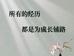 追星赶月：探寻词汇背后的励志精神与勇往直前的心路历程