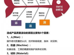 强化技能提升竞争力：实践知识与技能的深度融合引领新时代个人发展之路