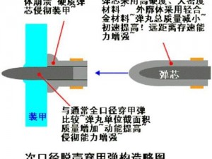 全民枪战：深度解析中型步枪穿甲弹属性图鉴，全面揭示其威力与特性