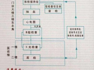 小雨体检经验分享,小雨体检经验分享：如何顺利完成体检？