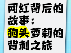 51 黑料往期回顾，揭秘网红背后的故事