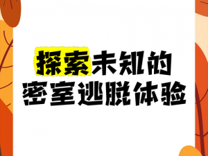 fi11cnn研究所实验室隐藏入口—fi11cnn 研究所实验室隐藏入口：探索未知的科技世界