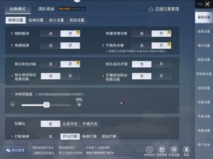 绝地求生游戏画面优化指南：PUBG画面设置技巧与基础游戏设置详解