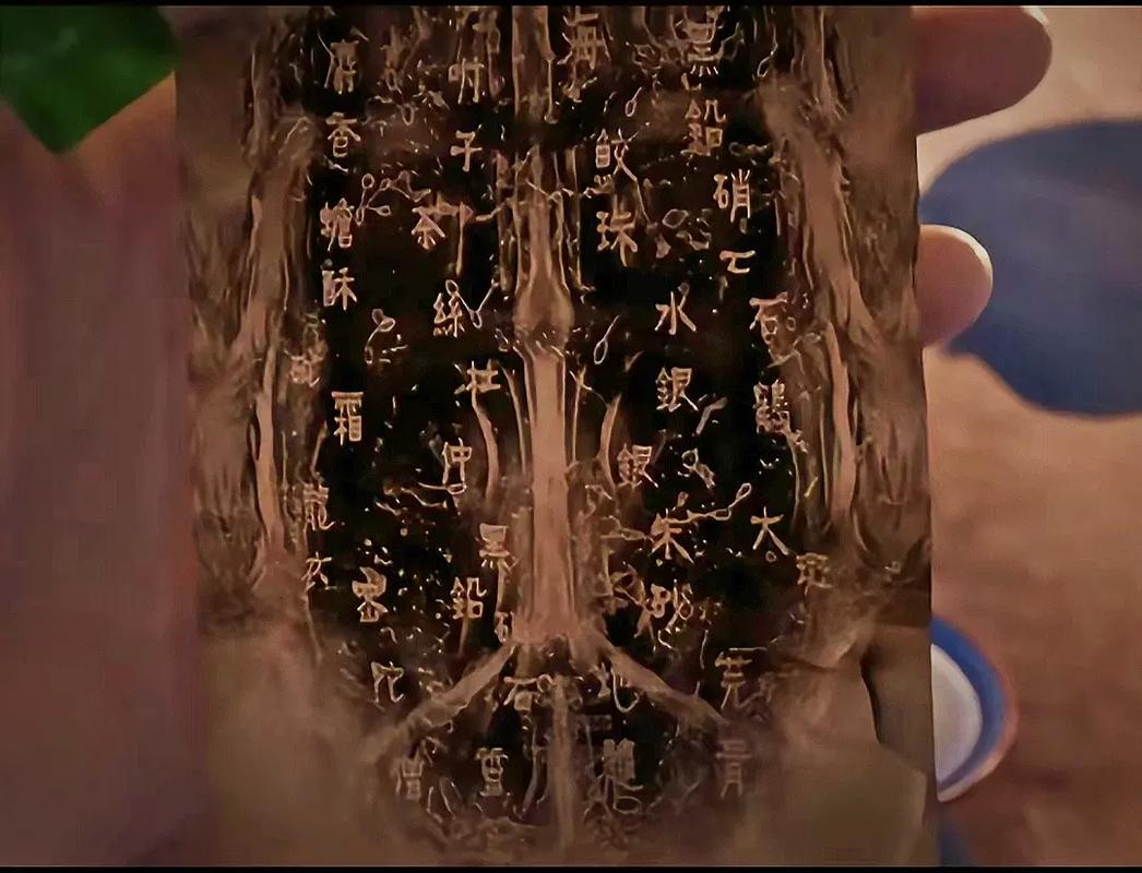 我是谜长生之谜的答案解析:解密长生答案全览
