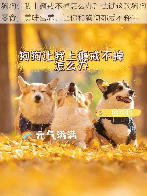 狗狗让我上瘾戒不掉怎么办?试试这款狗狗零食,美味营养,让你和狗狗都爱不释手