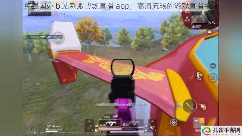 免费国外 b 站刺激战场直播 app,高清流畅的游戏直播平台
