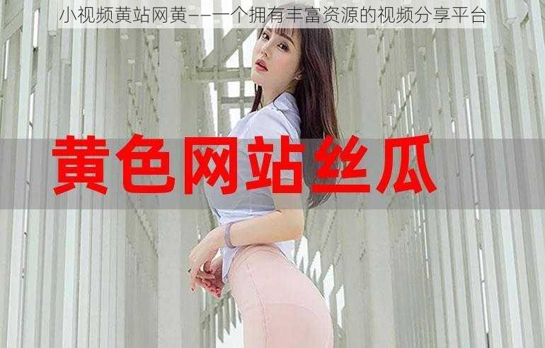 小视频黄站网黄——一个拥有丰富资源的视频分享平台