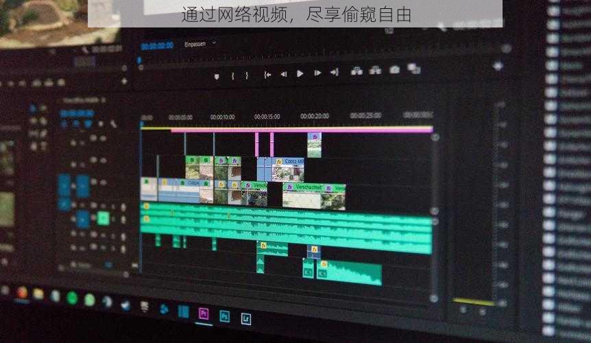 通过网络视频,尽享偷窥自由