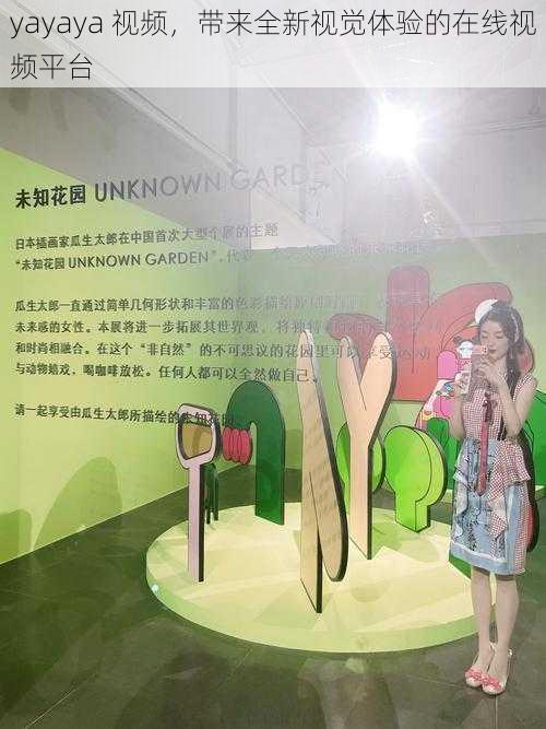 yayaya 视频,带来全新视觉体验的在线视频平台