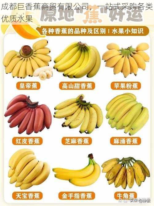 成都巨香蕉商贸有限公司,一站式采购各类优质水果