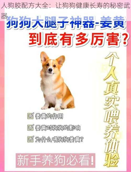 人狗胶配方大全:让狗狗健康长寿的秘密武器