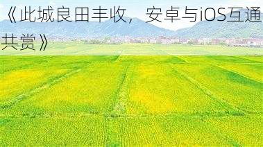 《此城良田丰收,安卓与iOS互通共赏》