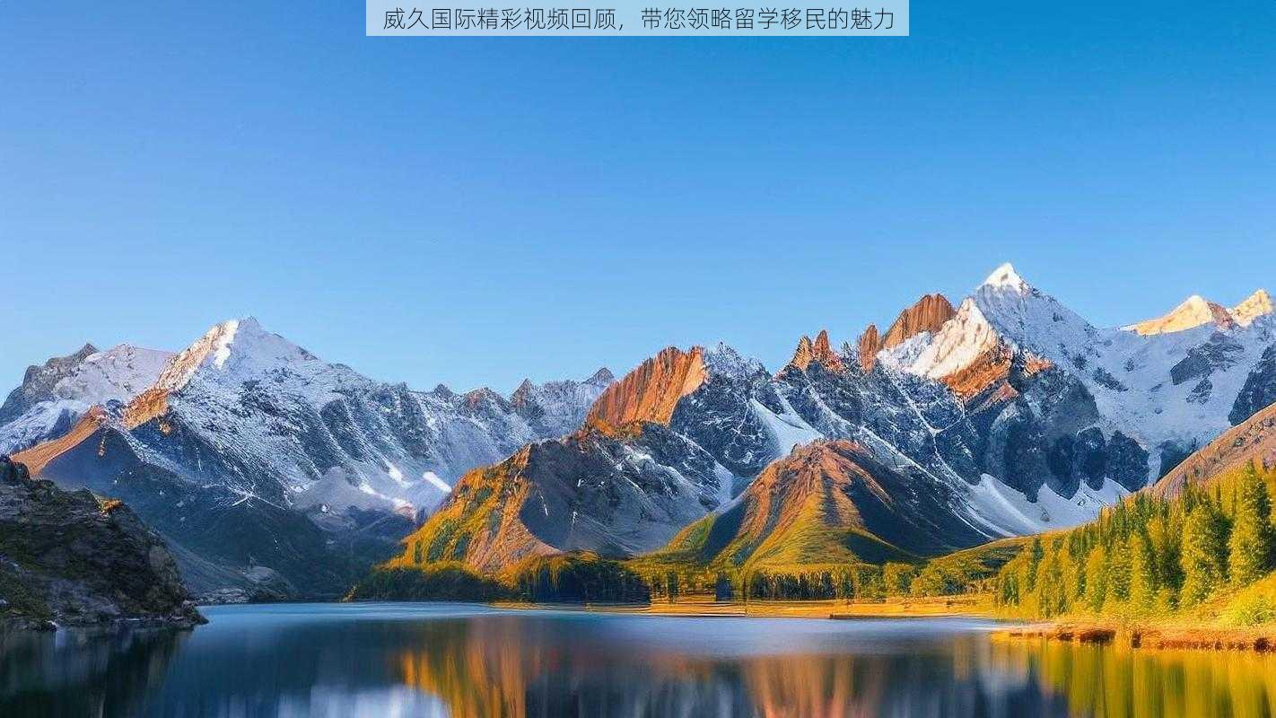 威久国际精彩视频回顾,带您领略留学移民的魅力