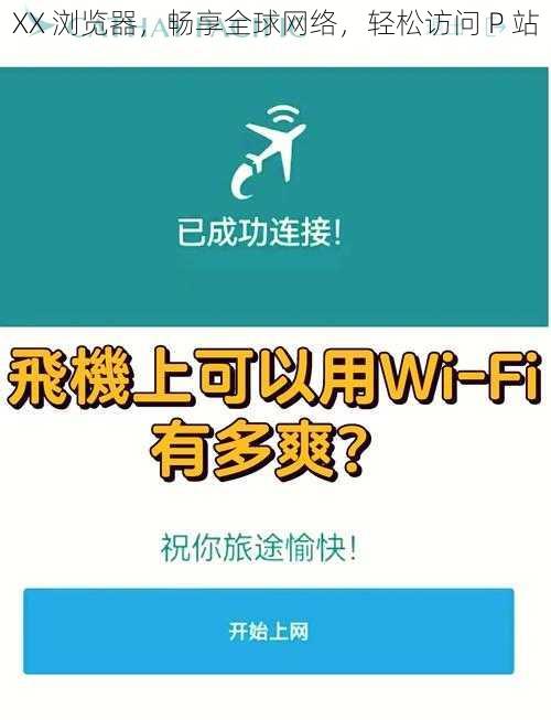 XX 浏览器，畅享全球网络，轻松访问 P 站