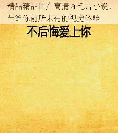 精品精品国产高清 a 毛片小说,带给你前所未有的视觉体验
