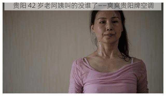 贵阳 42 岁老阿姨叫的没谁了——爽爽贵阳牌空调