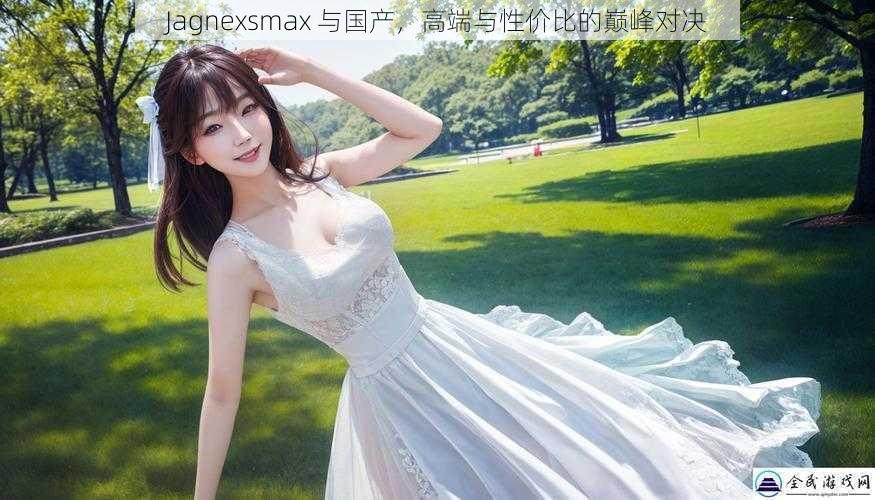 Jagnexsmax 与国产,高端与性价比的巅峰对决