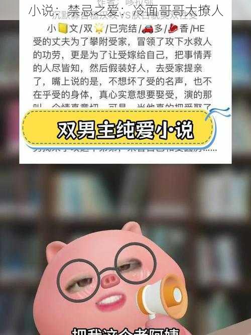 小说:禁忌之爱:冷面哥哥太撩人