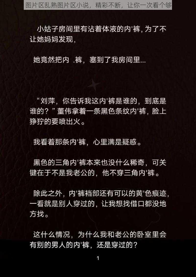 图片区乱熟图片区小说，精彩不断，让你一次看个够